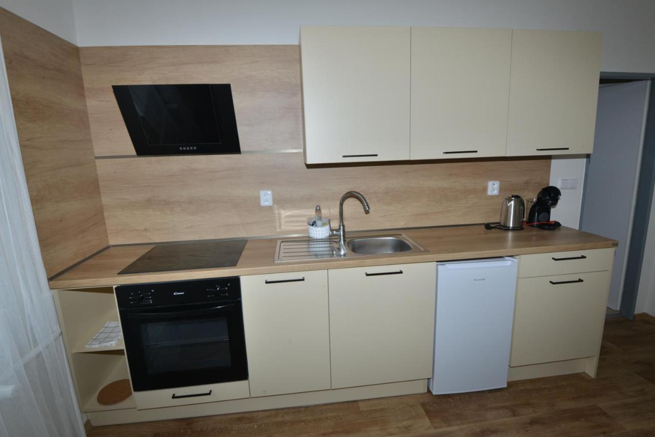 Apartmany U Peslu Zelezna Ruda Exterior photo