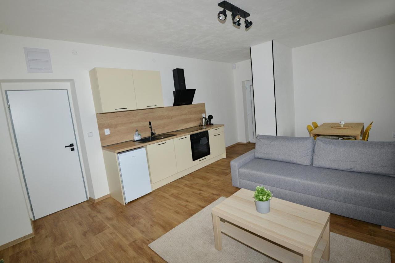 Apartmany U Peslu Zelezna Ruda Exterior photo